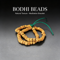 BODHI SEEDS